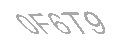 Güvenlik Kodu